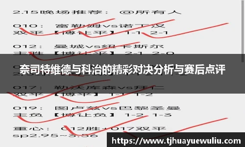 奈司特维德与科治的精彩对决分析与赛后点评